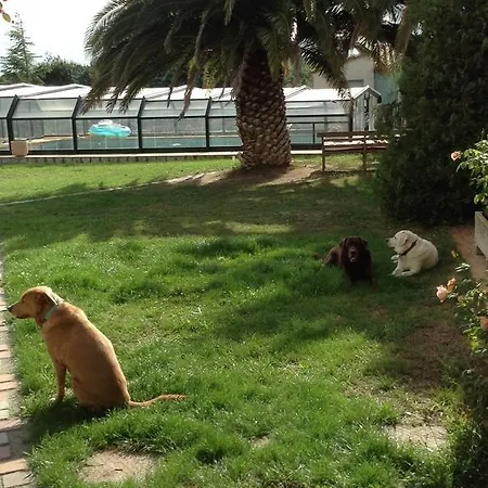 Mas Saint Bernard Bed & Breakfast Perpignan